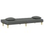 vidaXL Schlafsofa 2-Sitzer mit Kissen und Fußhocker Dunkelgrau Stoff vidaXL Schlafsofa 2-Sitzer mit Kissen und Fußhocker Dunkelgrau Stoff