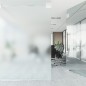 vidaXL Fensterfolien 3 Stk. Statisch Matt Transparent Grau PVC vidaXL Fensterfolien 3 Stk. Statisch Matt Transparent Grau PVC