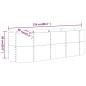 vidaXL Hochbeet Pulverbeschichteter Stahl 224x80x68 cm Anthrazit vidaXL Hochbeet Pulverbeschichteter Stahl 224x80x68 cm Anthrazit