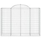 vidaXL Gabionen mit Hochbogen 40Stk. 200x50x140/160cm Verzinktes Eisen vidaXL Gabionen mit Hochbogen 40Stk. 200x50x140/160cm Verzinktes Eisen