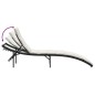 vidaXL Sonnenliegen 2 Stk. mit Tisch Schwarz Poly Rattan vidaXL Sonnenliegen 2 Stk. mit Tisch Schwarz Poly Rattan