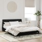 vidaXL Bettgestell mit LED-Leuchten Schwarz 160x200 cm Samt vidaXL Bettgestell mit LED-Leuchten Schwarz 160x200 cm Samt