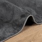 vidaXL Teppich OVIEDO Kurzflor Anthrazit 300x400 cm vidaXL Teppich OVIEDO Kurzflor Anthrazit 300x400 cm
