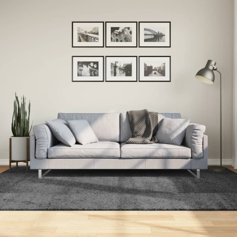 vidaXL Teppich OVIEDO Kurzflor Anthrazit 160x230 cm vidaXL Teppich OVIEDO Kurzflor Anthrazit 160x230 cm