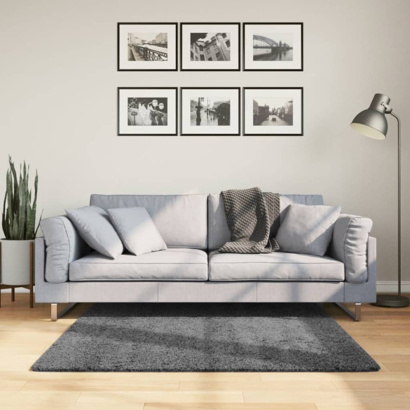 vidaXL Teppich OVIEDO Kurzflor Anthrazit 120x120 cm vidaXL Teppich OVIEDO Kurzflor Anthrazit 120x120 cm