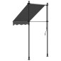 vidaXL Markise Einziehbar Anthrazit 100x150 cm Stoff und Stahl vidaXL Markise Einziehbar Anthrazit 100x150 cm Stoff und Stahl