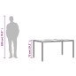 vidaXL Gartentisch mit Glasplatte Grau 150x90x75 cm Poly Rattan vidaXL Gartentisch mit Glasplatte Grau 150x90x75 cm Poly Rattan