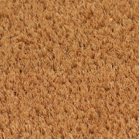 vidaXL Fußmatte Natur 40x60 cm Kokosfaser Getuftet