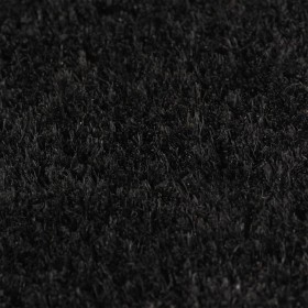 vidaXL Fußmatte Schwarz 40x60 cm Kokosfaser Getuftet