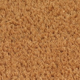 vidaXL Fußmatte Natur 50x80 cm Kokosfaser Getuftet