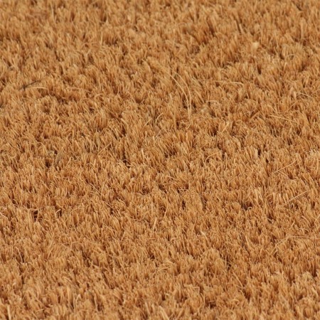 vidaXL Fußmatte Natur 50x80 cm Kokosfaser Getuftet