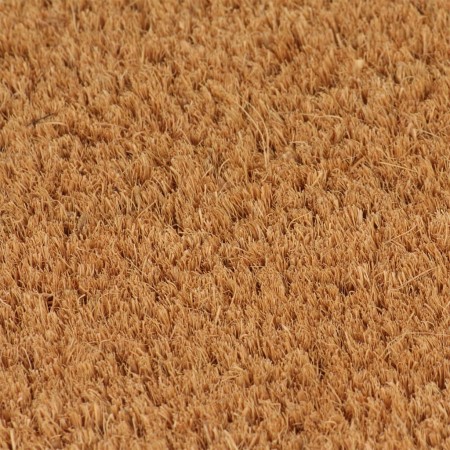 vidaXL Fußmatte Natur 40x60 cm Kokosfaser Getuftet