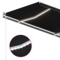 vidaXL Automatische Markise mit LED Windsensor 400x300 cm Anthrazit vidaXL Automatische Markise mit LED Windsensor 400x300 cm Anthrazit