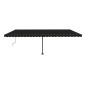 Standmarkise Automatisch 600x300 cm Anthrazit Standmarkise Automatisch 600x300 cm Anthrazit