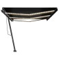 vidaXL Markise Manuell Einziehbar mit LED 600x300 cm Anthrazit vidaXL Markise Manuell Einziehbar mit LED 600x300 cm Anthrazit