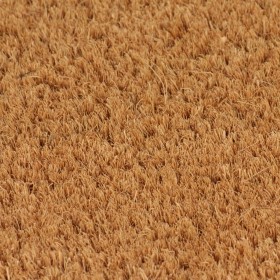 vidaXL Fußmatte Natur 50x80 cm Kokosfaser Getuftet