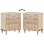 vidaXL Nachttisch 50x33x60 cm Massivholz Mango vidaXL Nachttisch 50x33x60 cm Massivholz Mango