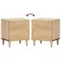vidaXL Nachttische 2 Stk. 40x33x46 cm Massivholz Mango vidaXL Nachttische 2 Stk. 40x33x46 cm Massivholz Mango