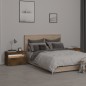 vidaXL Nachttische 2 Stk. mit LED-Leuchten Räuchereiche 60x35x40 cm vidaXL Nachttische 2 Stk. mit LED-Leuchten Räuchereiche 60x35x40 cm