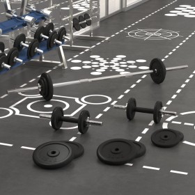 vidaXL Langhantel und Kurzhantel mit Hantelscheiben 90 kg Gusseisen
