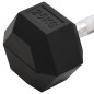 vidaXL Kurzhantel 25 kg Gusseisen vidaXL Kurzhantel 25 kg Gusseisen