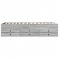 vidaXL Tagesbett mit Schubladen Grau Sonoma 75x190 cm Holzwerkstoff vidaXL Tagesbett mit Schubladen Grau Sonoma 75x190 cm Holzwerkstoff