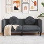 vidaXL Sofa mit Kissen 2-Sitzer Dunkelgrau Samt vidaXL Sofa mit Kissen 2-Sitzer Dunkelgrau Samt
