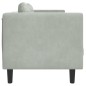 vidaXL Sofa mit Kissen 2-Sitzer Hellgrau Samt vidaXL Sofa mit Kissen 2-Sitzer Hellgrau Samt