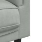 vidaXL Sofa mit Kissen 2-Sitzer Hellgrau Samt vidaXL Sofa mit Kissen 2-Sitzer Hellgrau Samt