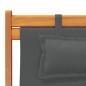 vidaXL Strandstühle 2 Stk. Klappbar Grau Stoff vidaXL Strandstühle 2 Stk. Klappbar Grau Stoff