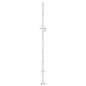 vidaXL Gartentor 100x180 cm Edelstahl vidaXL Gartentor 100x180 cm Edelstahl