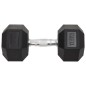 vidaXL Kurzhantel 17,5 kg Gusseisen vidaXL Kurzhantel 17,5 kg Gusseisen