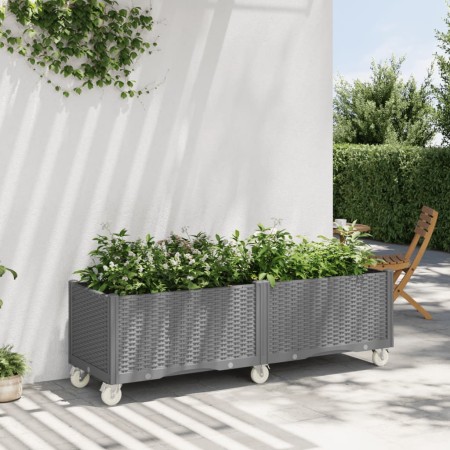 vidaXL Pflanzkasten mit Rollen Hellgrau 160x50x54 cm PP