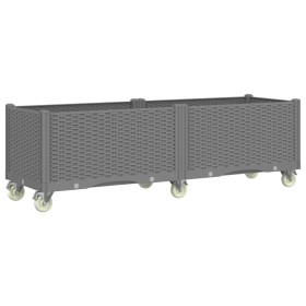 vidaXL Pflanzkasten mit Rollen Hellgrau 160x50x54 cm PP