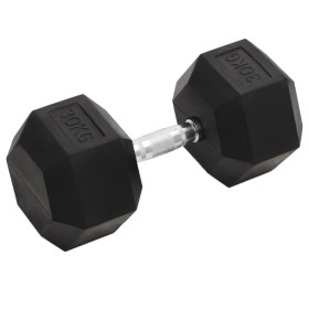 vidaXL Kurzhantel 30 kg Gusseisen