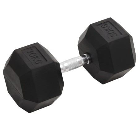 vidaXL Kurzhantel 30 kg Gusseisen