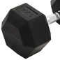 vidaXL Kurzhantel 30 kg Gusseisen vidaXL Kurzhantel 30 kg Gusseisen