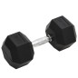 vidaXL Kurzhantel 22,5 kg Gusseisen vidaXL Kurzhantel 22,5 kg Gusseisen