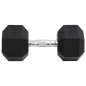 vidaXL Kurzhantel 22,5 kg Gusseisen vidaXL Kurzhantel 22,5 kg Gusseisen