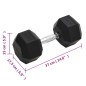 vidaXL Kurzhantel 22,5 kg Gusseisen vidaXL Kurzhantel 22,5 kg Gusseisen