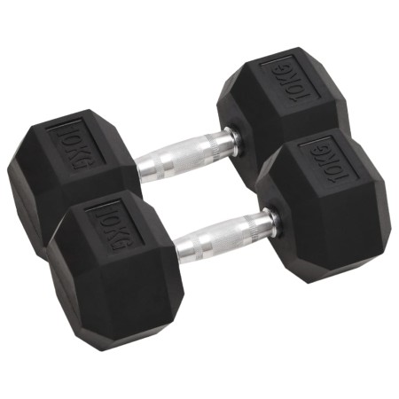 vidaXL Kurzhanteln 2 Stk. 20 kg Gusseisen