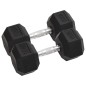 vidaXL Kurzhanteln 2 Stk. 20 kg Gusseisen vidaXL Kurzhanteln 2 Stk. 20 kg Gusseisen