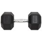 vidaXL Kurzhanteln 2 Stk. 30 kg Gusseisen vidaXL Kurzhanteln 2 Stk. 30 kg Gusseisen