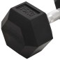 vidaXL Kurzhanteln 2 Stk. 30 kg Gusseisen vidaXL Kurzhanteln 2 Stk. 30 kg Gusseisen