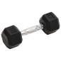 vidaXL Kurzhanteln 2 Stk. 10 kg Gusseisen vidaXL Kurzhanteln 2 Stk. 10 kg Gusseisen