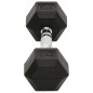 vidaXL Kurzhanteln 2 Stk. 10 kg Gusseisen vidaXL Kurzhanteln 2 Stk. 10 kg Gusseisen