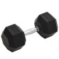 vidaXL Kurzhantel 20 kg Gusseisen vidaXL Kurzhantel 20 kg Gusseisen