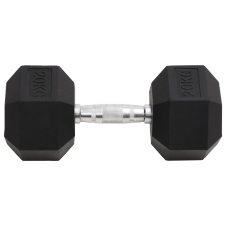 vidaXL Kurzhantel 20 kg Gusseisen