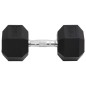 vidaXL Kurzhantel 20 kg Gusseisen vidaXL Kurzhantel 20 kg Gusseisen