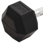 vidaXL Kurzhantel 20 kg Gusseisen vidaXL Kurzhantel 20 kg Gusseisen